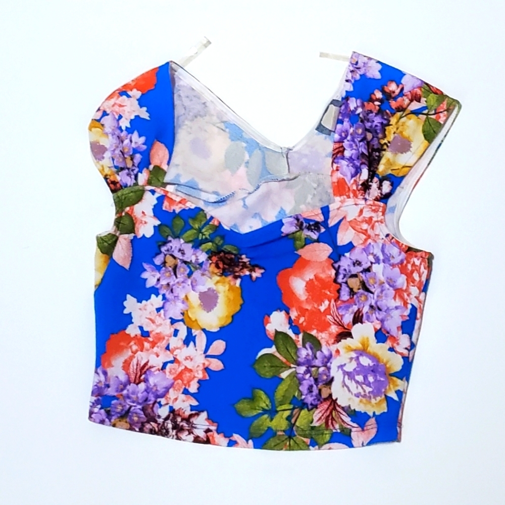Vizio Crop Top